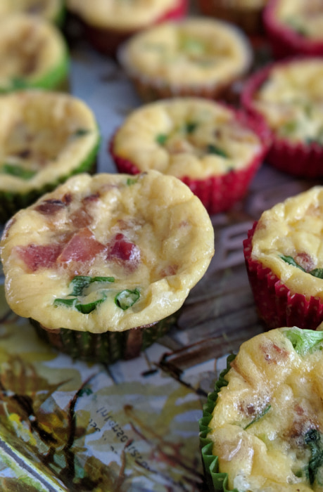 Massa de mini quiche crua, ponta para ir na air fryer.