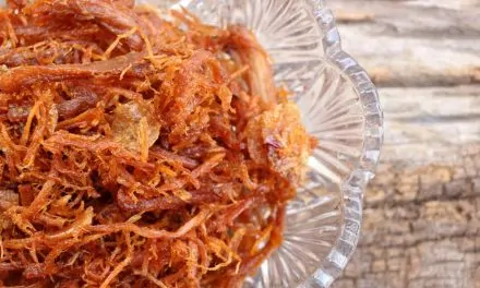 Carne seca desfiada na Panela de Pressão Elétrica
