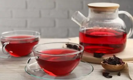 Chá de Frutas Vermelhas na Chaleira